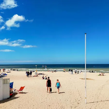 Daire Cozy In With Wifi